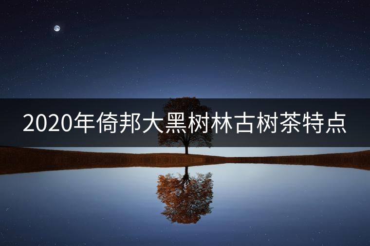 2020年倚邦大黑樹林古樹茶特點(diǎn) 2020年倚邦大黑樹林古樹茶特點(diǎn)