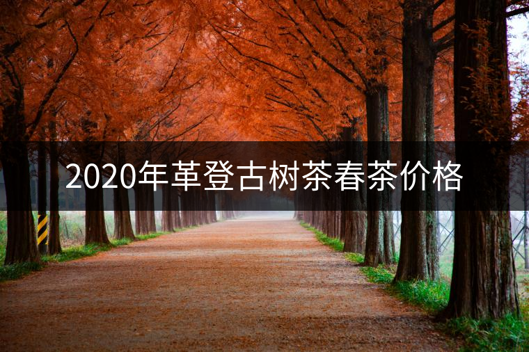 2020年革登古樹(shù)茶春茶價(jià)格 2020年革登古樹(shù)茶春茶價(jià)格