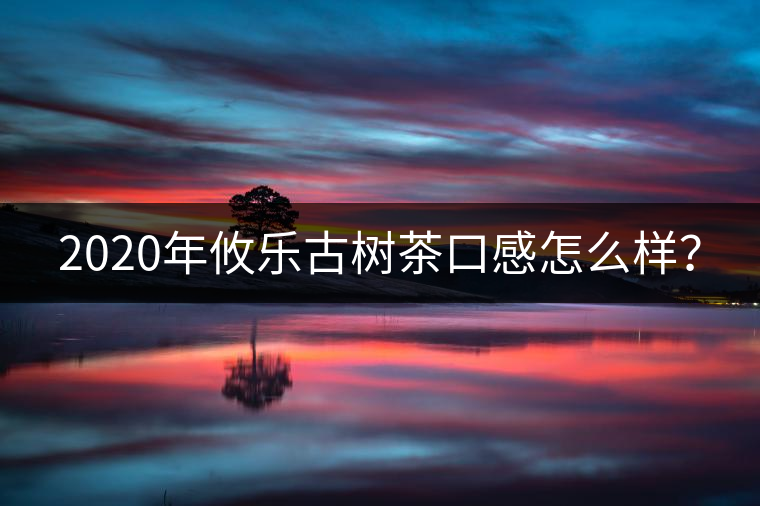 2020年攸樂(lè)古樹(shù)茶口感怎么樣？