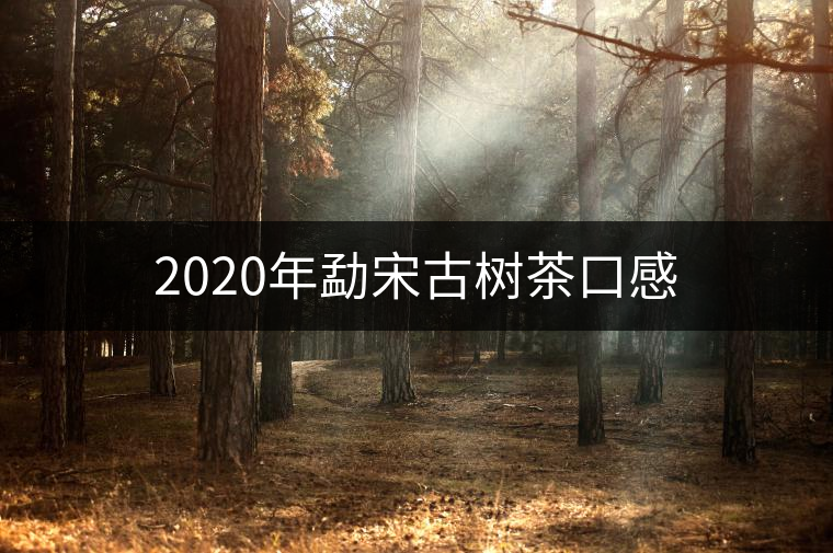 2020年勐宋古樹(shù)茶口感 2020年勐宋古樹(shù)茶口感
