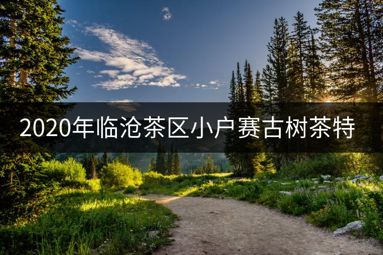 2020年臨滄茶區(qū)小戶賽古樹茶特點及特征 2020年臨滄茶區(qū)小戶賽古樹茶特點及特征