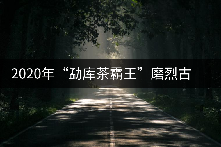 2020年“勐庫茶霸王”磨烈古樹春茶華麗逆襲 2020年“勐庫茶霸王”磨烈古樹春茶華麗逆襲