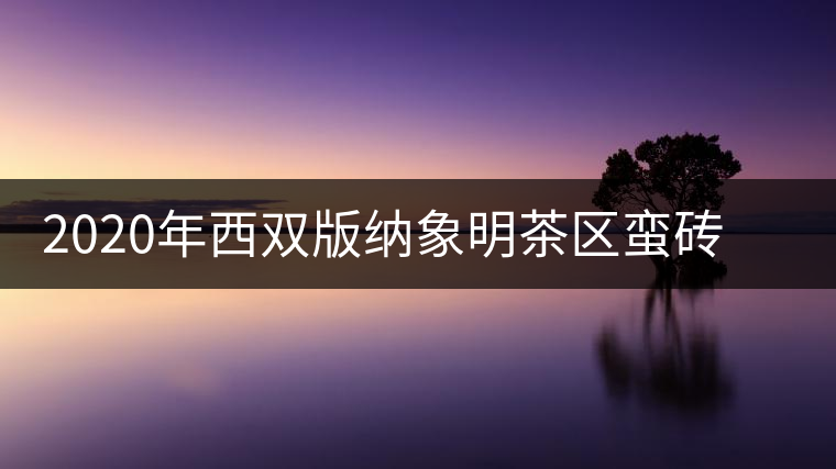 2020年西雙版納象明茶區(qū)蠻磚古茶山特點介紹 2020年西雙版納象明茶區(qū)蠻磚古茶山特點介紹