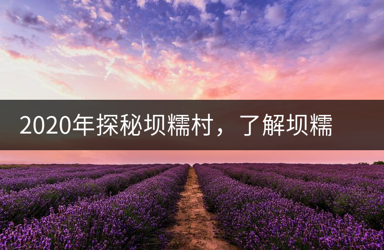 2020年探秘壩糯村，了解壩糯藤條茶的真相