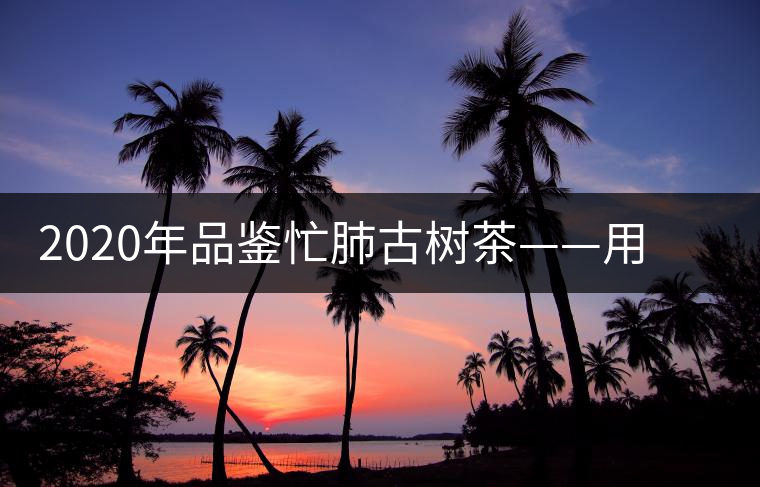 2020年品鑒忙肺古樹茶——用誠意獻上一杯好茶 2020年品鑒忙肺古樹茶——用誠意獻上一杯好茶