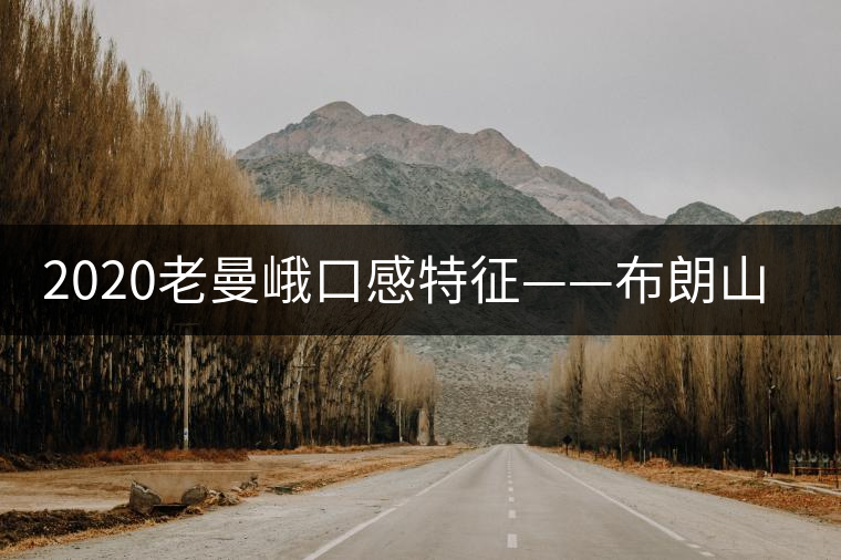 2020老曼峨口感特征——布朗山無冕之王