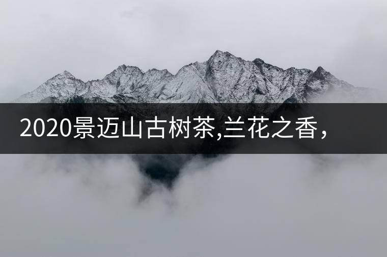 2020景邁山古樹茶,蘭花之香，自然之味