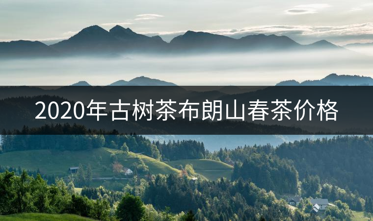 2020年古樹茶布朗山春茶價(jià)格 2020年古樹茶布朗山春茶價(jià)格