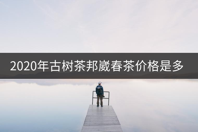 2020年古樹(shù)茶邦崴春茶價(jià)格是多少？