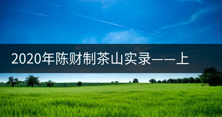 2020年陳財制茶山實錄——上貢車里宣慰府的那卡