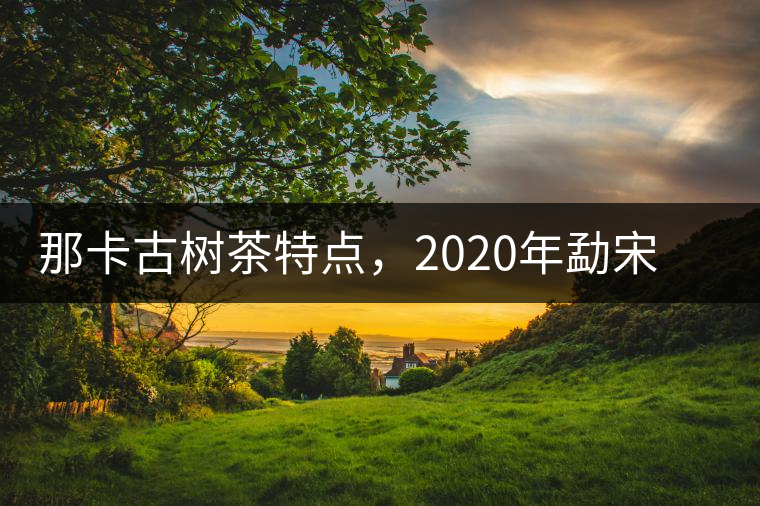 那卡古樹茶特點，2020年勐宋茶區(qū)保塘普洱茶口感