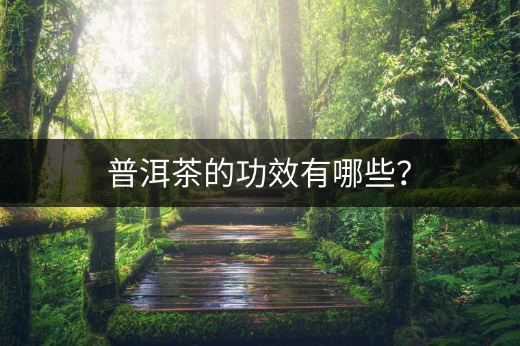 普洱茶的功效有哪些？