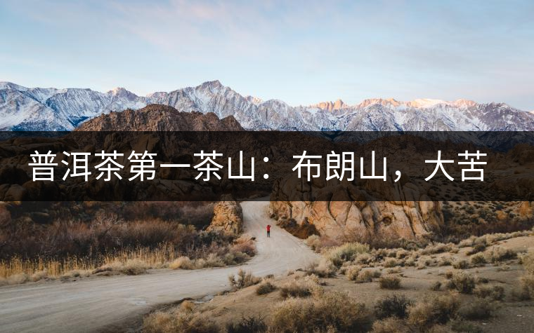 普洱茶第一茶山：布朗山，大苦大甘是它的魂