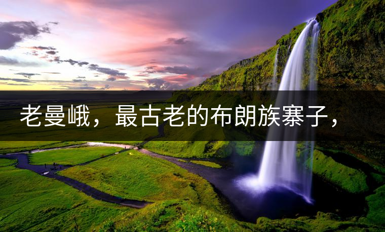 老曼峨，最古老的布朗族寨子，最極端的普洱茶