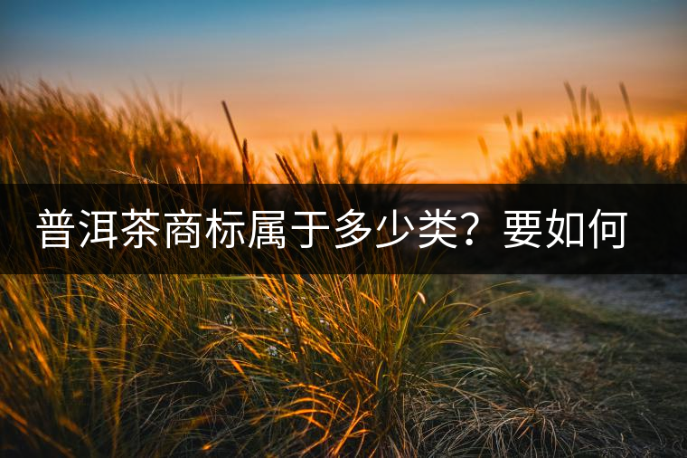 普洱茶商標(biāo)屬于多少類？要如何注冊(cè)
