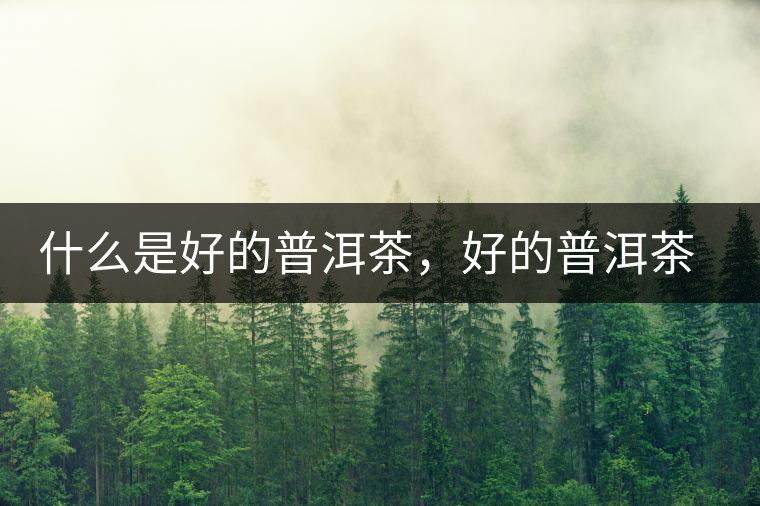 什么是好的普洱茶，好的普洱茶必須要有好的工藝！