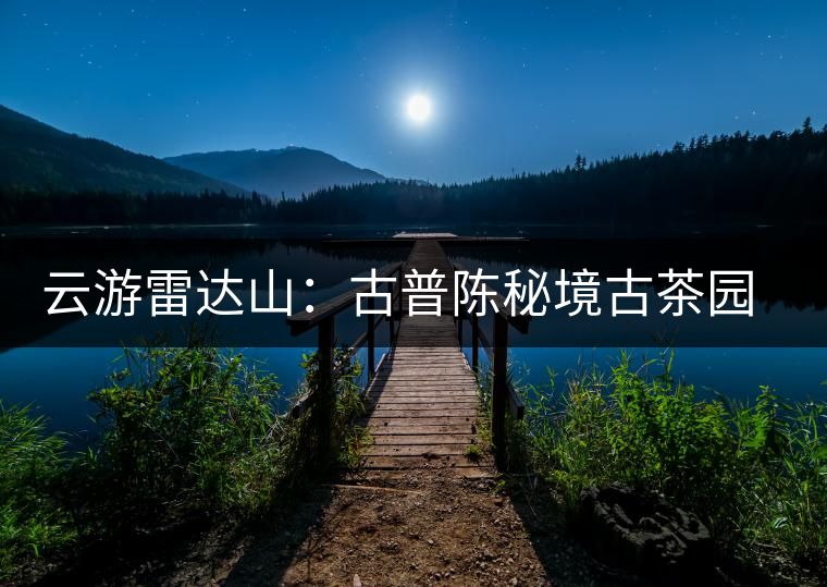 云游雷達(dá)山：古普陳秘境古茶園，品第一杯春鮮