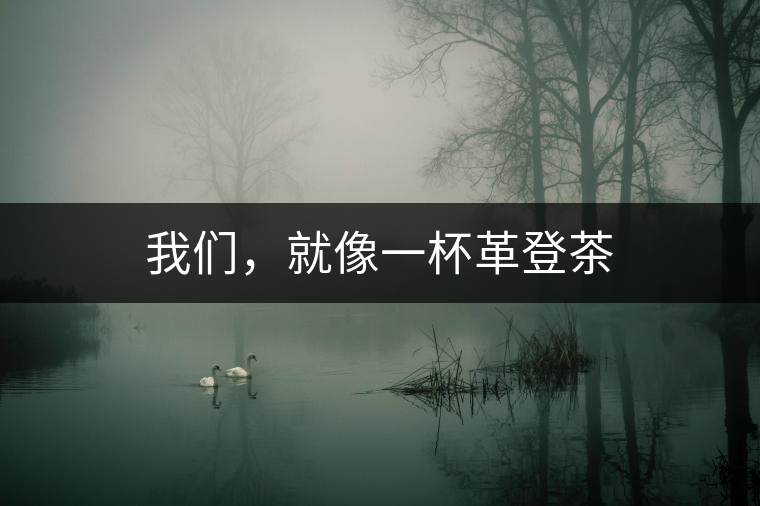 我們，就像一杯革登茶