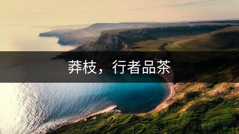 莽枝，行者品茶