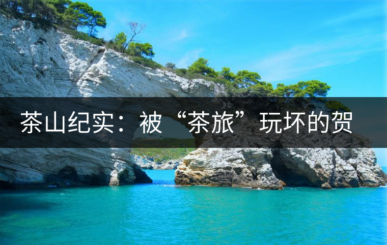 茶山紀實：被“茶旅”玩壞的賀開古茶園