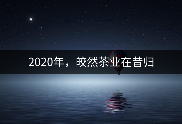 2020年，皎然茶業(yè)在昔歸
