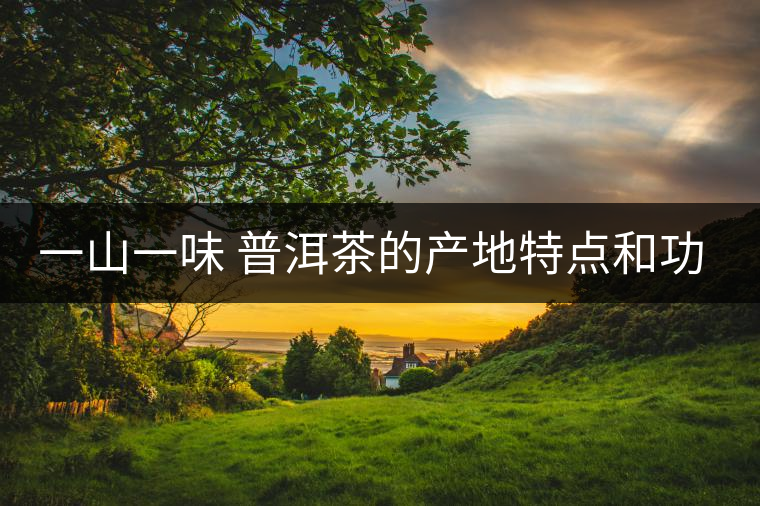 一山一味 普洱茶的產(chǎn)地特點和功效 一山一味 普洱茶的產(chǎn)地特點和功效