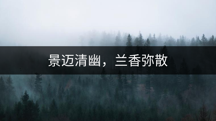 景邁清幽，蘭香彌散