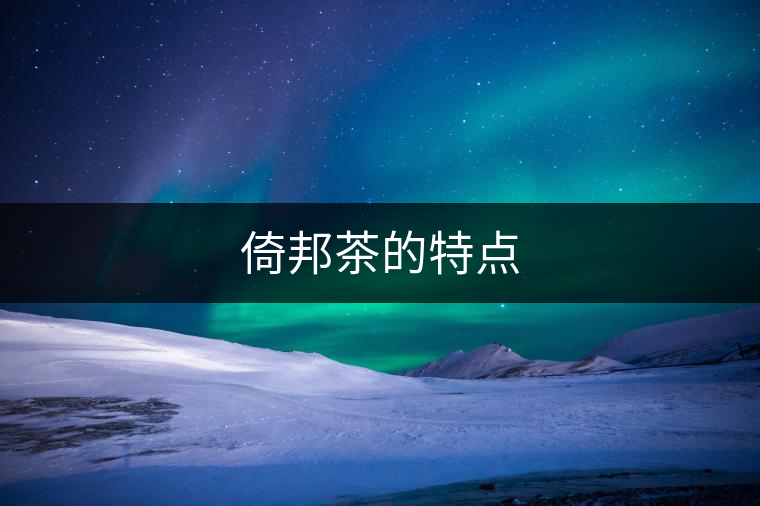 倚邦茶的特點(diǎn) 倚邦茶的特點(diǎn)