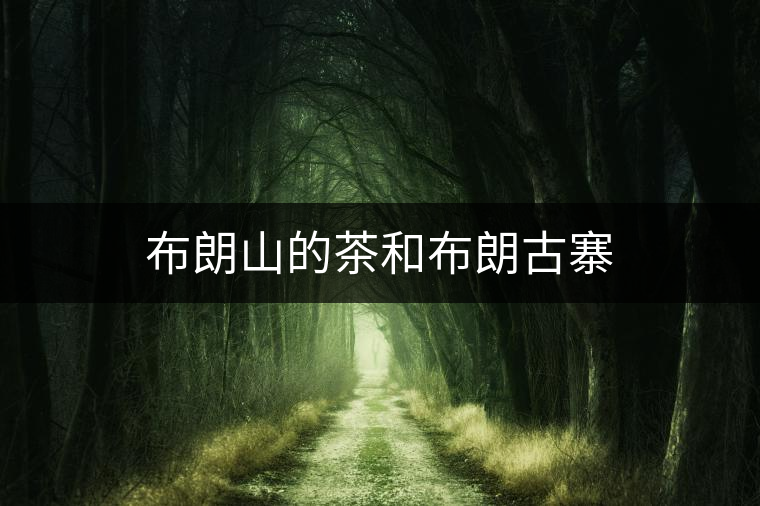 布朗山的茶和布朗古寨 布朗山的茶和布朗古寨