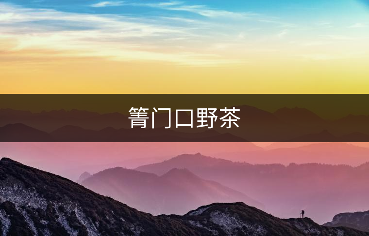 箐門(mén)口野茶 箐門(mén)口野茶