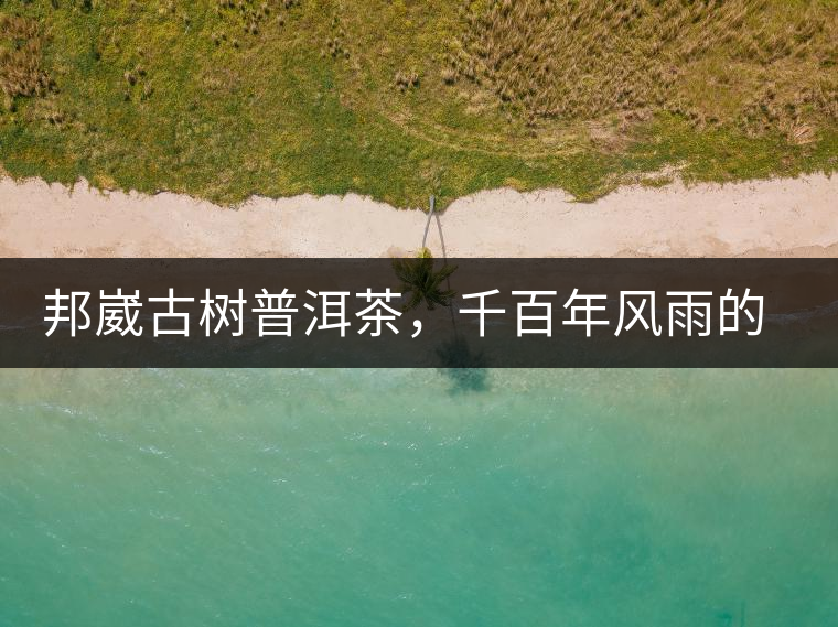 邦崴古樹普洱茶，千百年風(fēng)雨的洗禮