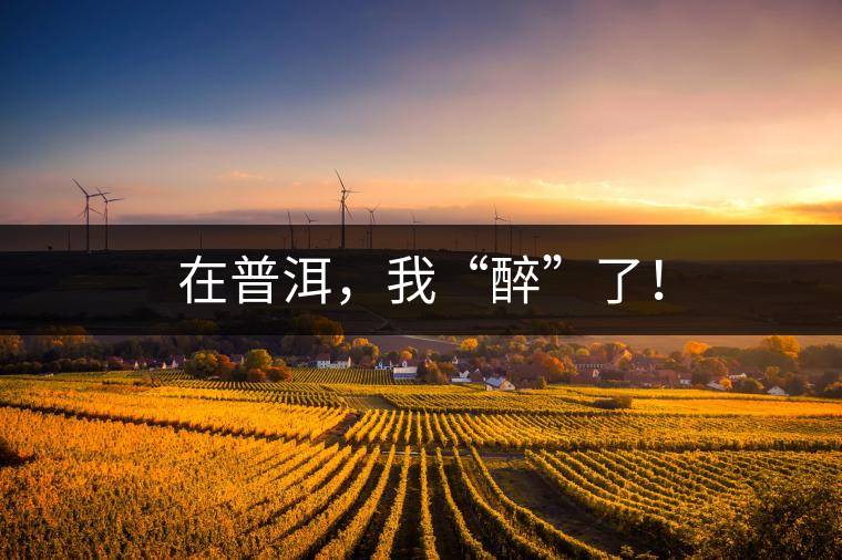 在普洱，我“醉”了！