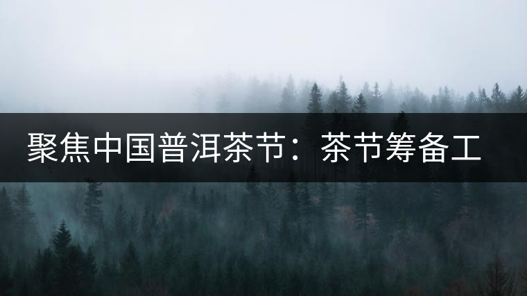 聚焦中國(guó)普洱茶節(jié):茶節(jié)籌備工作有序推進(jìn) 聚焦中國(guó)普洱茶節(jié):茶節(jié)籌備工作有序推進(jìn)