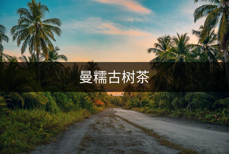 曼糯古樹茶 曼糯古樹茶