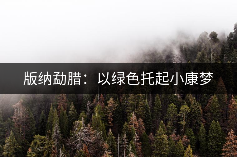 版納勐臘：以綠色托起小康夢(mèng)