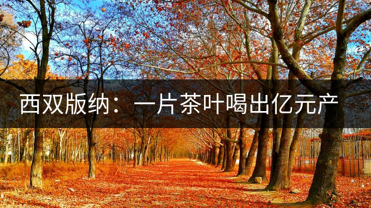 西雙版納：一片茶葉喝出億元產(chǎn)業(yè)