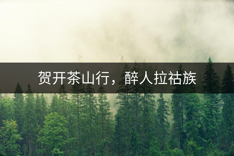 賀開茶山行，醉人拉祜族