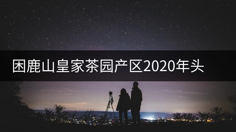 困鹿山皇家茶園產區(qū)2020年頭春古樹，白花林口感特點
