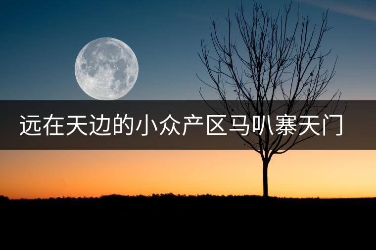 遠(yuǎn)在天邊的小眾產(chǎn)區(qū)馬叭寨天門(mén)山古樹(shù)茶 遠(yuǎn)在天邊的小眾產(chǎn)區(qū)馬叭寨天門(mén)山古樹(shù)茶