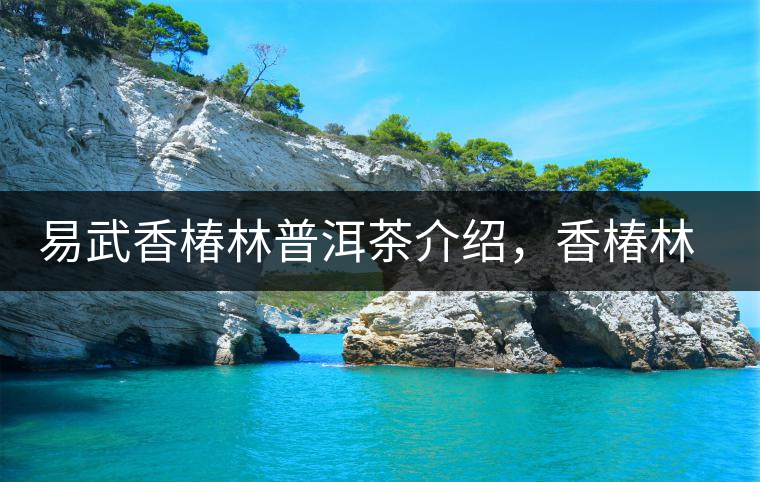 易武香椿林普洱茶介紹，香椿林古樹茶口感特點(diǎn)