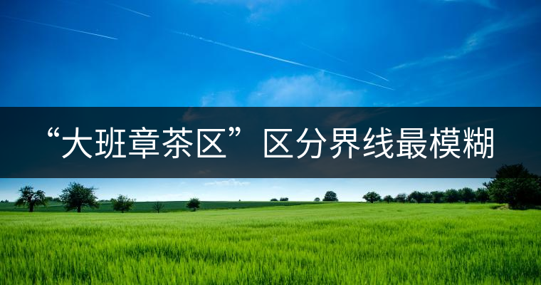 “大班章茶區(qū)”區(qū)分界線最模糊的寨子——班盆老寨