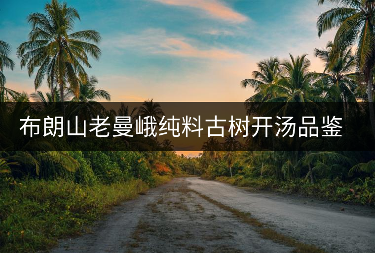 布朗山老曼峨純料古樹開湯品鑒特點(diǎn)介紹