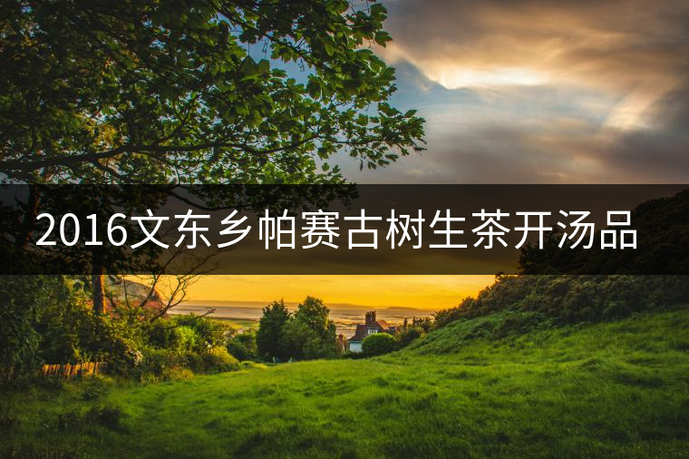 2016文東鄉(xiāng)帕賽古樹(shù)生茶開(kāi)湯品鑒 2016文東鄉(xiāng)帕賽古樹(shù)生茶開(kāi)湯品鑒