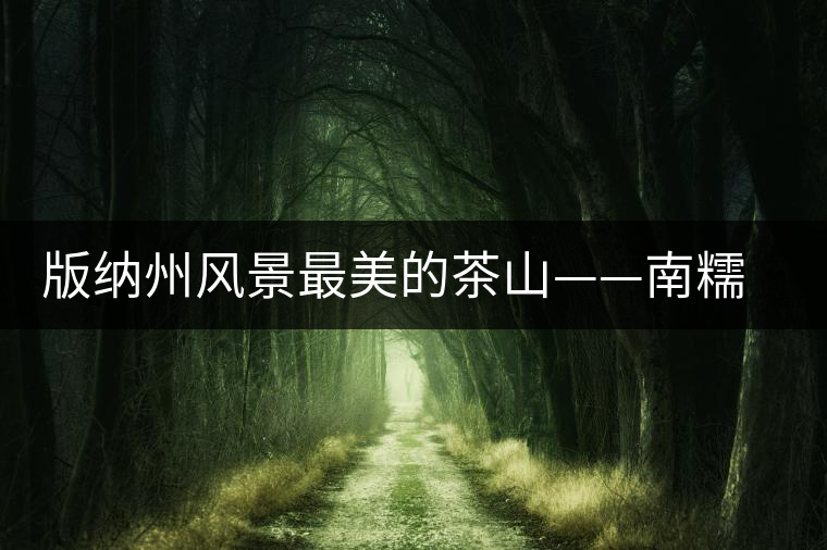 版納州風景最美的茶山——南糯山古茶山