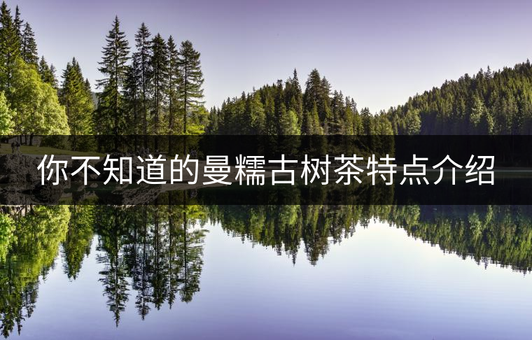 你不知道的曼糯古樹茶特點(diǎn)介紹 你不知道的曼糯古樹茶特點(diǎn)介紹