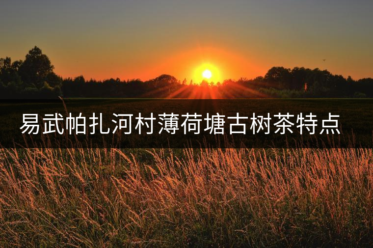 易武帕扎河村薄荷塘古樹茶特點(diǎn)介紹 易武帕扎河村薄荷塘古樹茶特點(diǎn)介紹