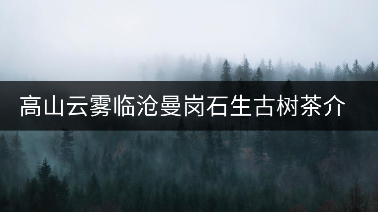 高山云霧臨滄曼崗石生古樹(shù)茶介紹 高山云霧臨滄曼崗石生古樹(shù)茶介紹
