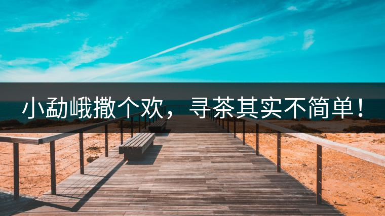 小勐峨撒個(gè)歡，尋茶其實(shí)不簡(jiǎn)單！