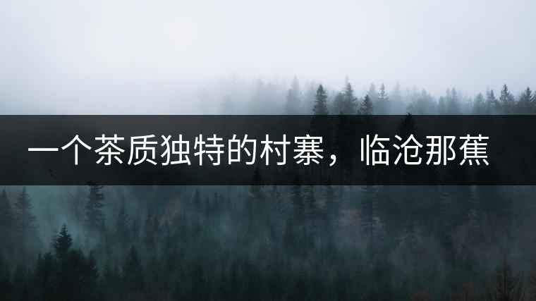 一個茶質(zhì)獨特的村寨，臨滄那蕉古樹茶介紹