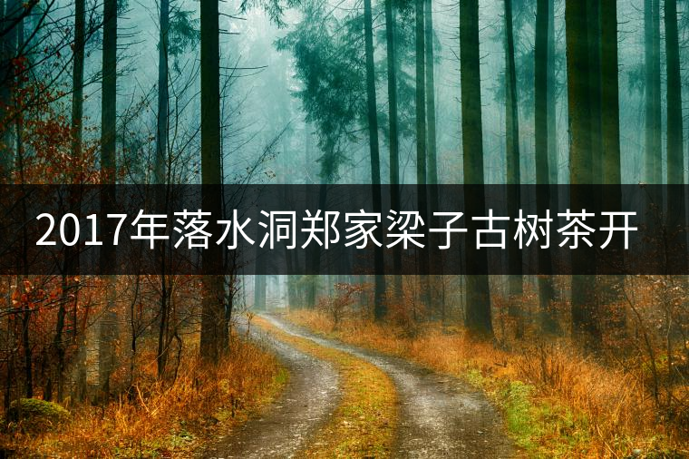2017年落水洞鄭家梁子古樹茶開湯品鑒 2017年落水洞鄭家梁子古樹茶開湯品鑒